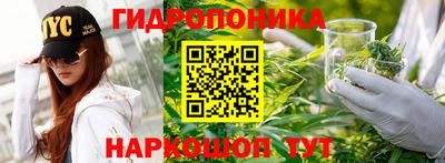 сатива Заволжье