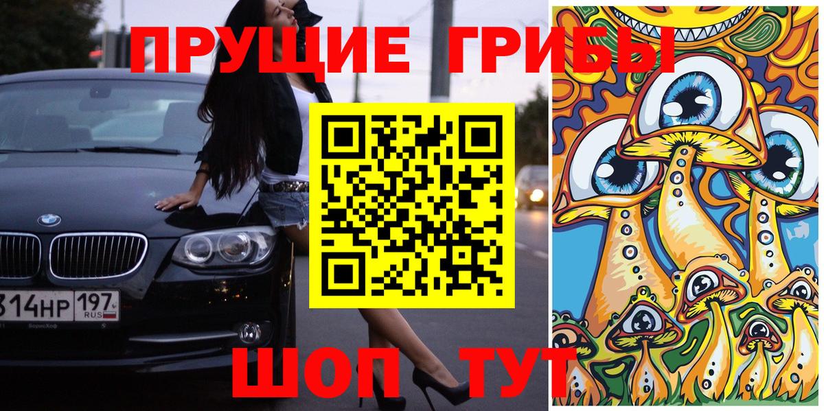 Кызыл  Галлюциногенные грибы Psilocybe  Вход с VPN 