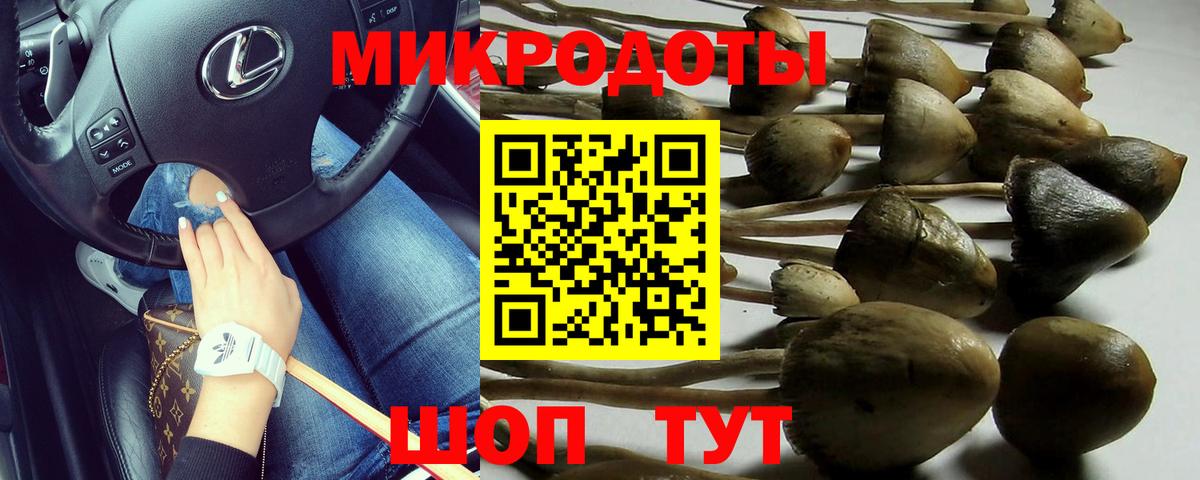Галлюциногенные грибы GOLDEN TEACHER Кызыл